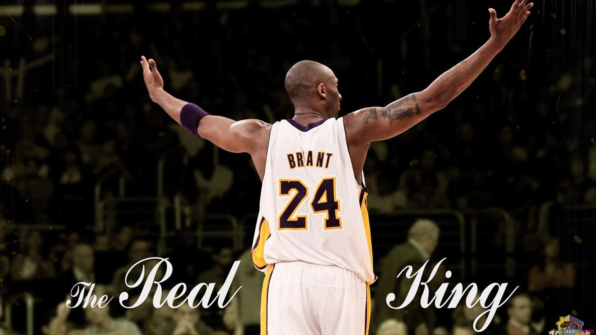 青少年篮球“青春纵横”公益盛典在福州落幕，呼吁全民关注青训